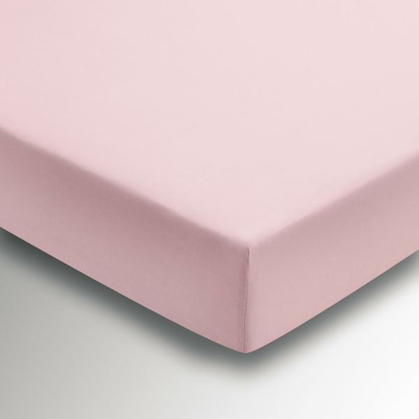 Plain Dye Percale Fitted Sheet - Blush